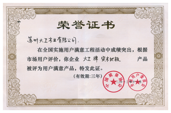 大衛(wèi)地板榮獲“全國實(shí)施用戶滿意工程先進(jìn)單位”.jpg